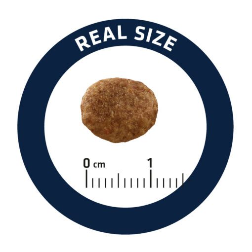 923914-kibble-size-510×511-1.jpg 923914-kibble-size-510×511-1.jpg