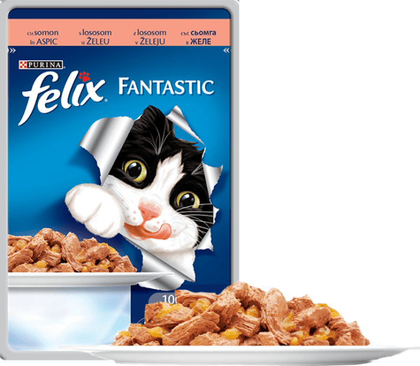 FELIX SOMON PLIC 85G