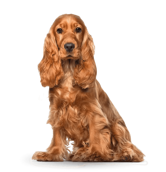 largeImage-3-3-1.png largeImage-3-3-1.png